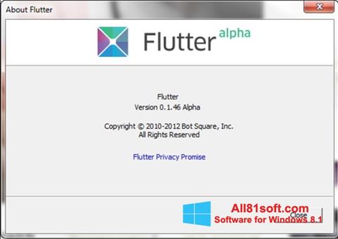 截图 Flutter Windows 8.1