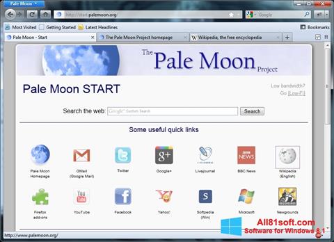 截图 Pale Moon Windows 8.1
