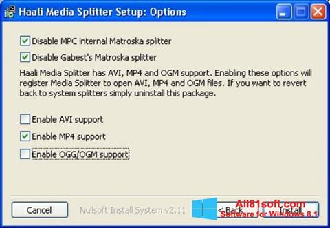 截图 Haali Media Splitter Windows 8.1
