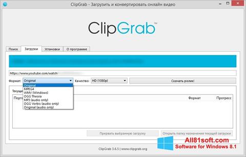 截图 ClipGrab Windows 8.1