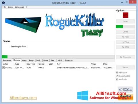 截图 RogueKiller Windows 8.1