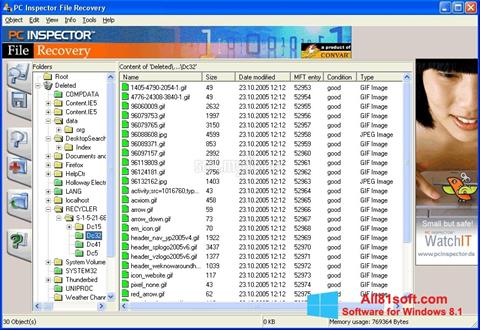 截图 PC Inspector File Recovery Windows 8.1
