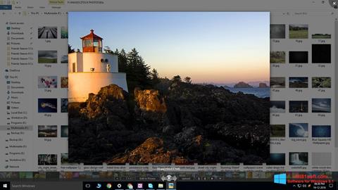 截图 Picasa Photo Viewer Windows 8.1